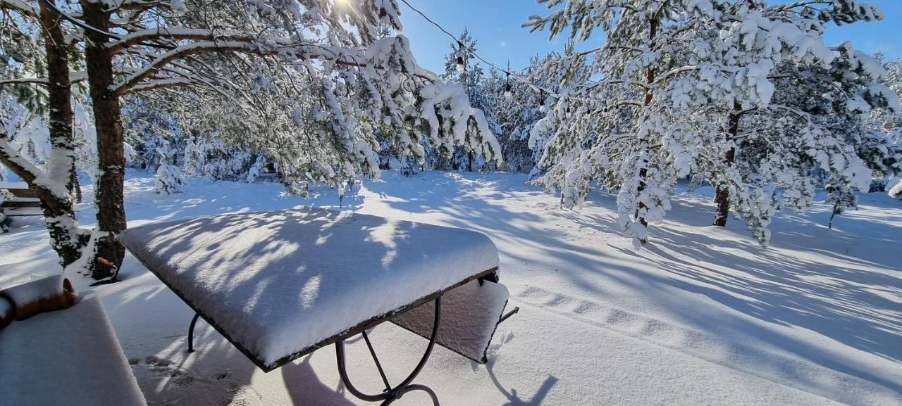 Sielanka Holiday home *