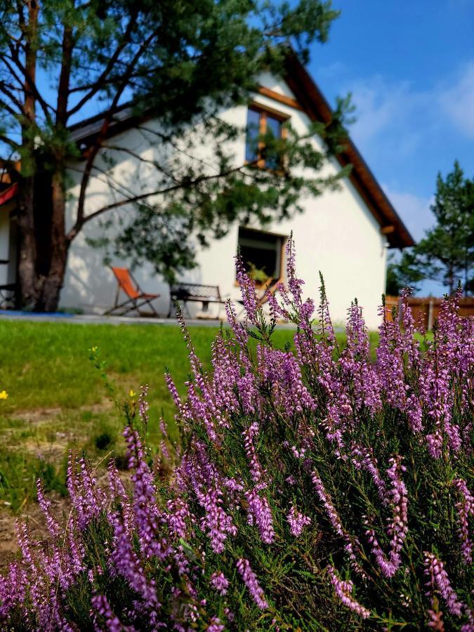 Holiday home Sielanka Borsk